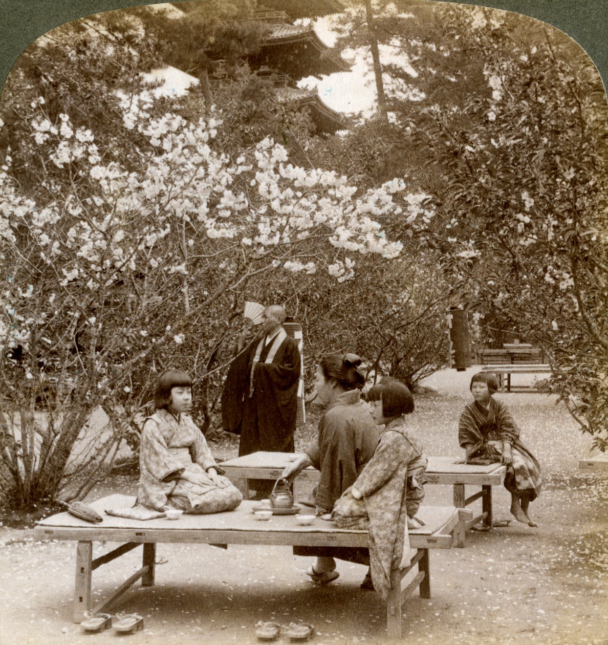 En familie, der nyder en picnic under kirsebærblomsterne, Omuro Gosho, Kyoto, Japan, 1904. af Underwood and Underwood