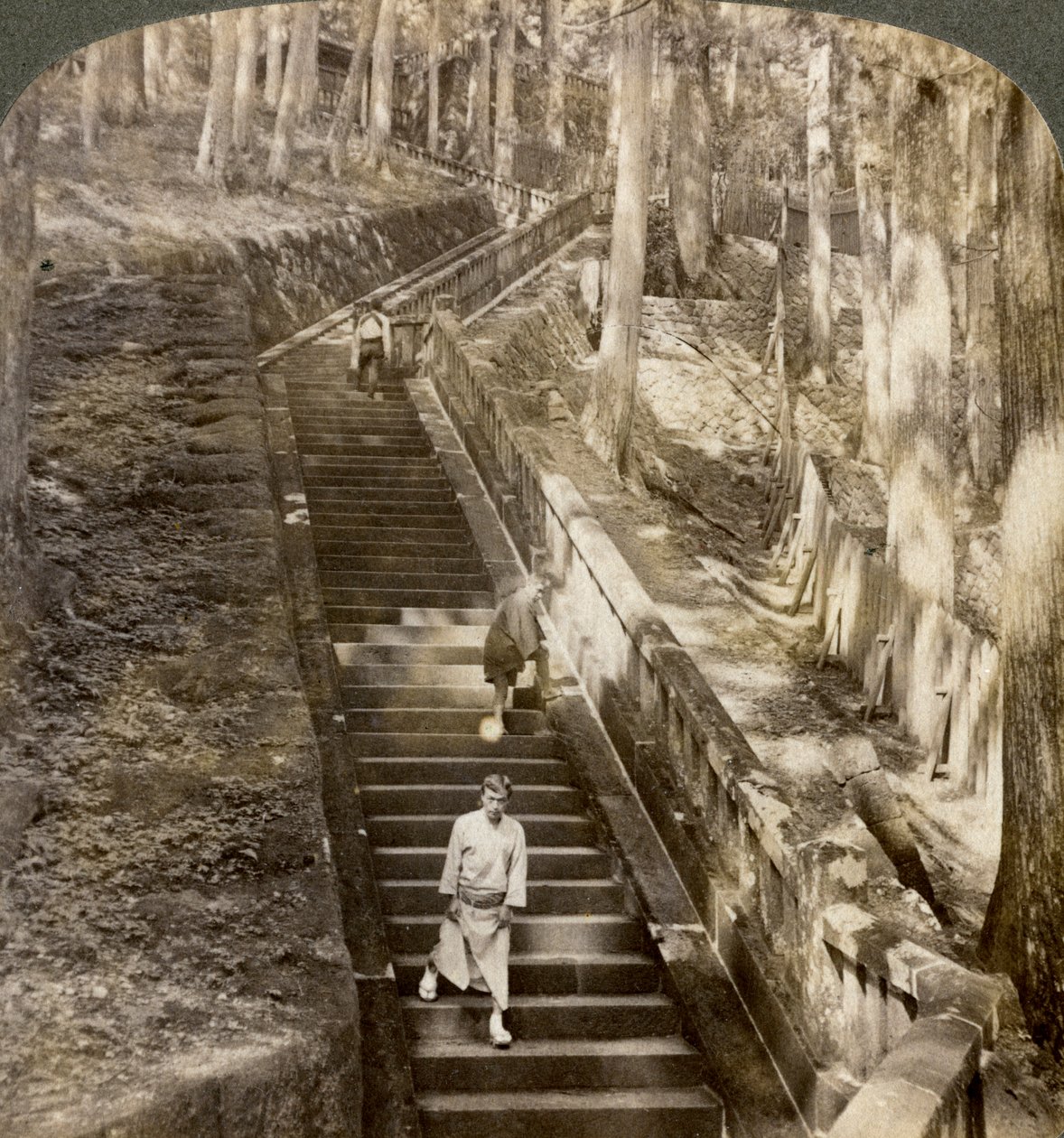 Gammel stentrappe op ad bakken til Shogun Ieyasus grav, Nikko, Japan, 1904. af Underwood and Underwood