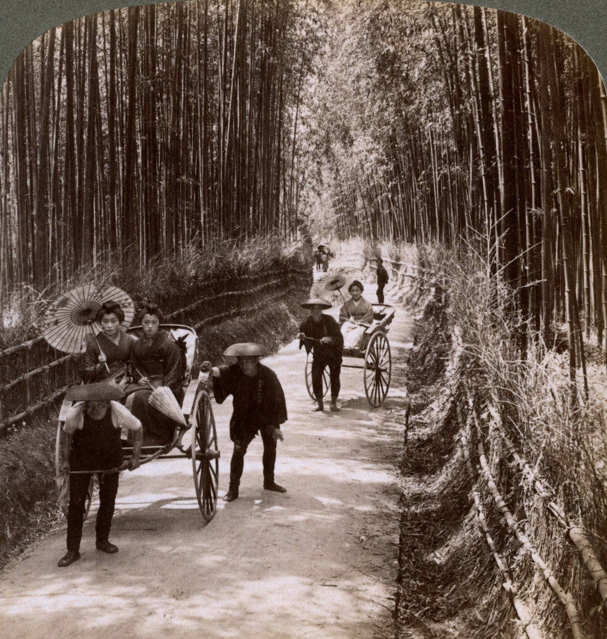 Bambus allé, ser sydvest, nær Kiyomizu, Kyoto, Japan, 1904 af Underwood and Underwood