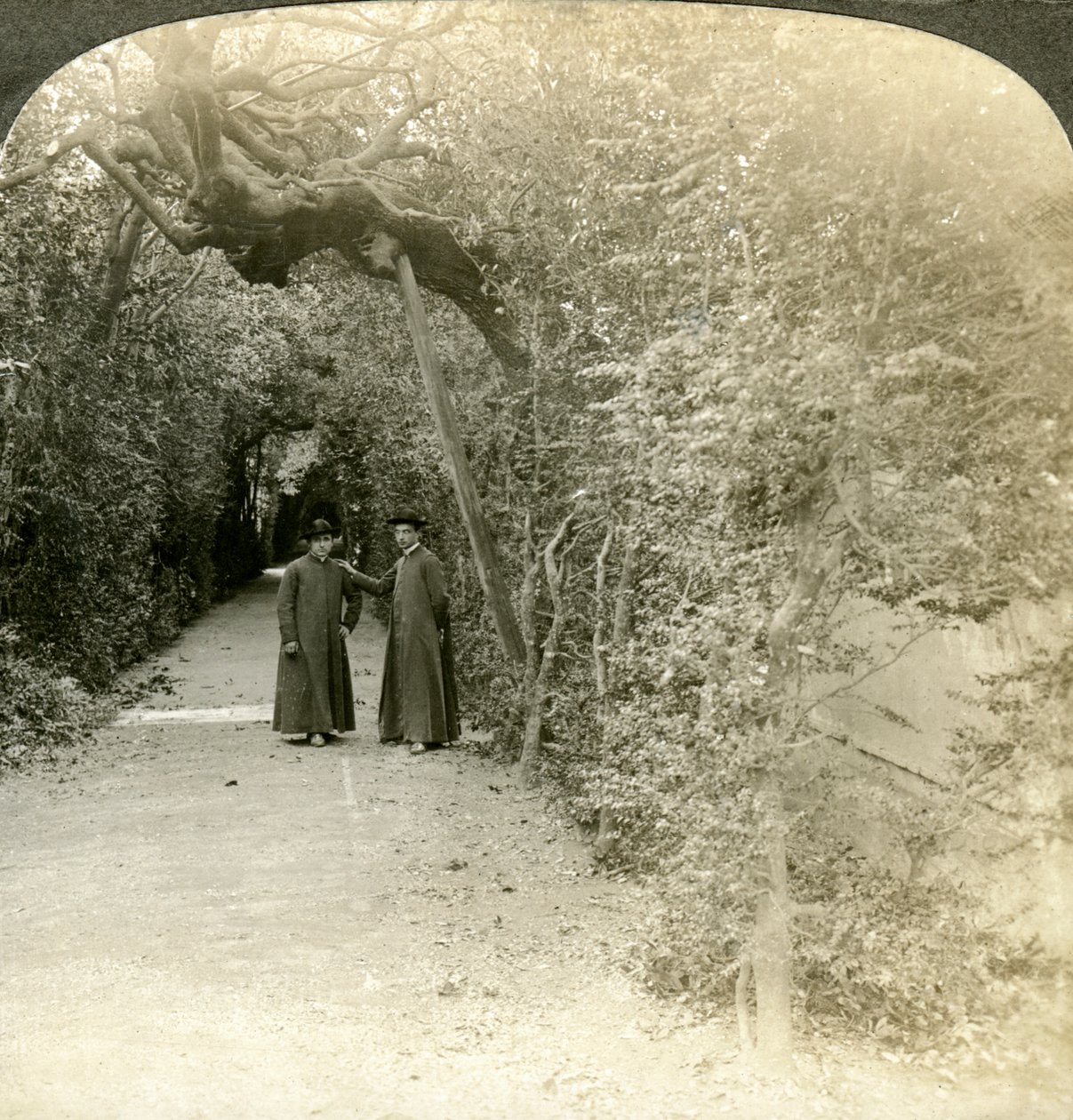 Bower of St Anthony, Vatikanets haver, Rom, Italien. af Underwood and Underwood