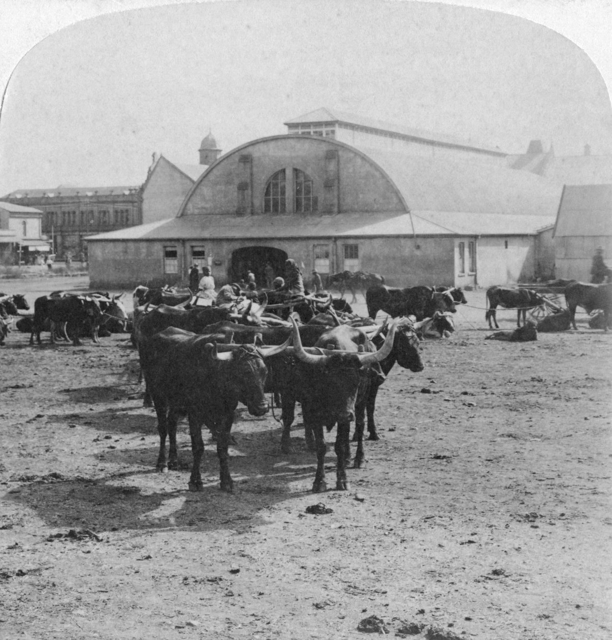 Bygning, hvor krigsfanger blev dømt, Pretoria, Sydafrika, Boer War, 1901 af Underwood and Underwood
