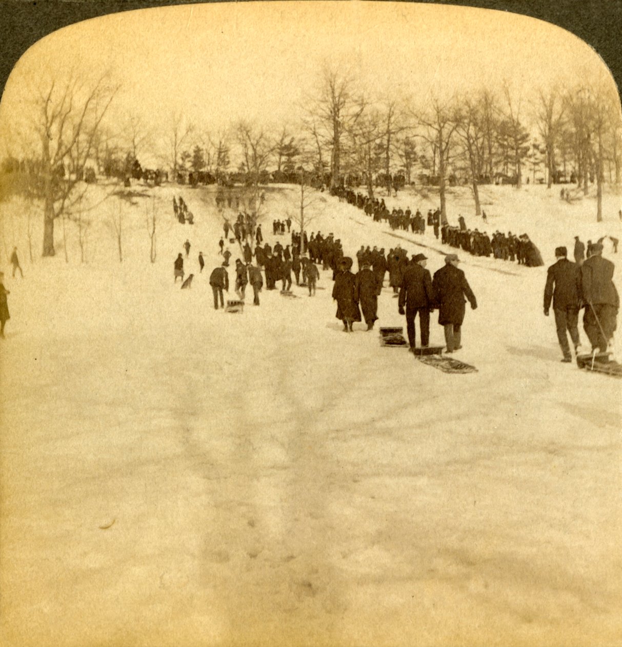 Canadisk vintersport - kælkning, 1905. af Underwood and Underwood