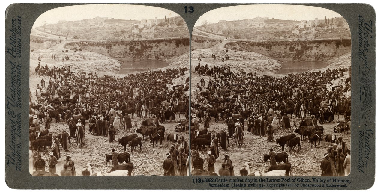Kvægmarkedsdag, i den nedre pool af Gihon, Hinnom-dalen, Jerusalem, Palæstina, 1900. af Underwood and Underwood