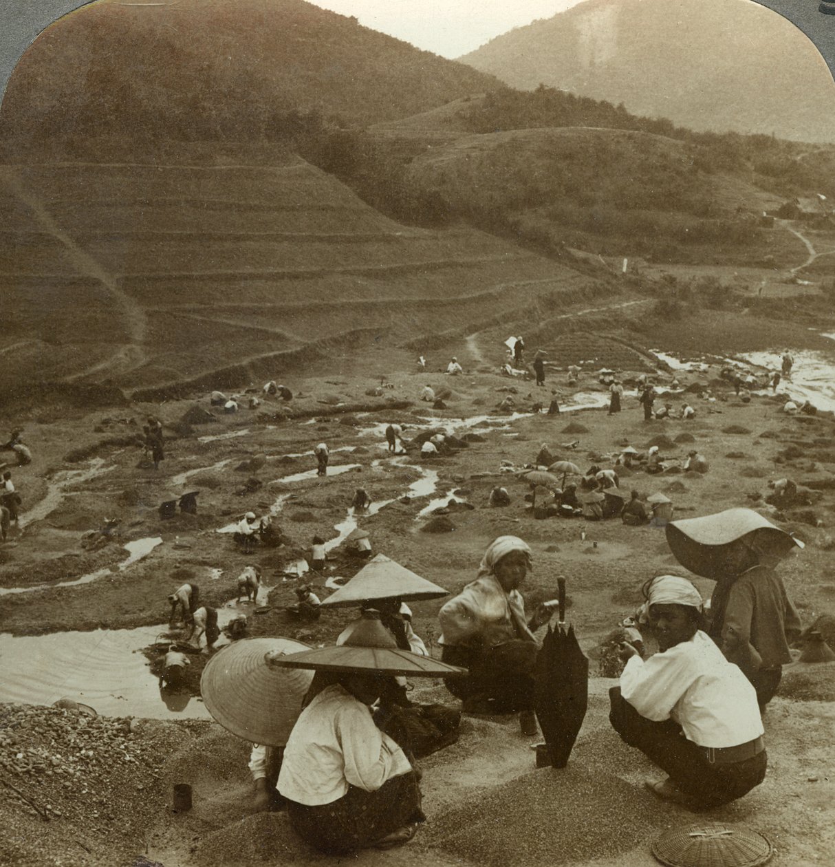 Uddybning af en flodseng for rubiner, Mogok, Burma, ca. 1900-tallet. af Underwood and Underwood