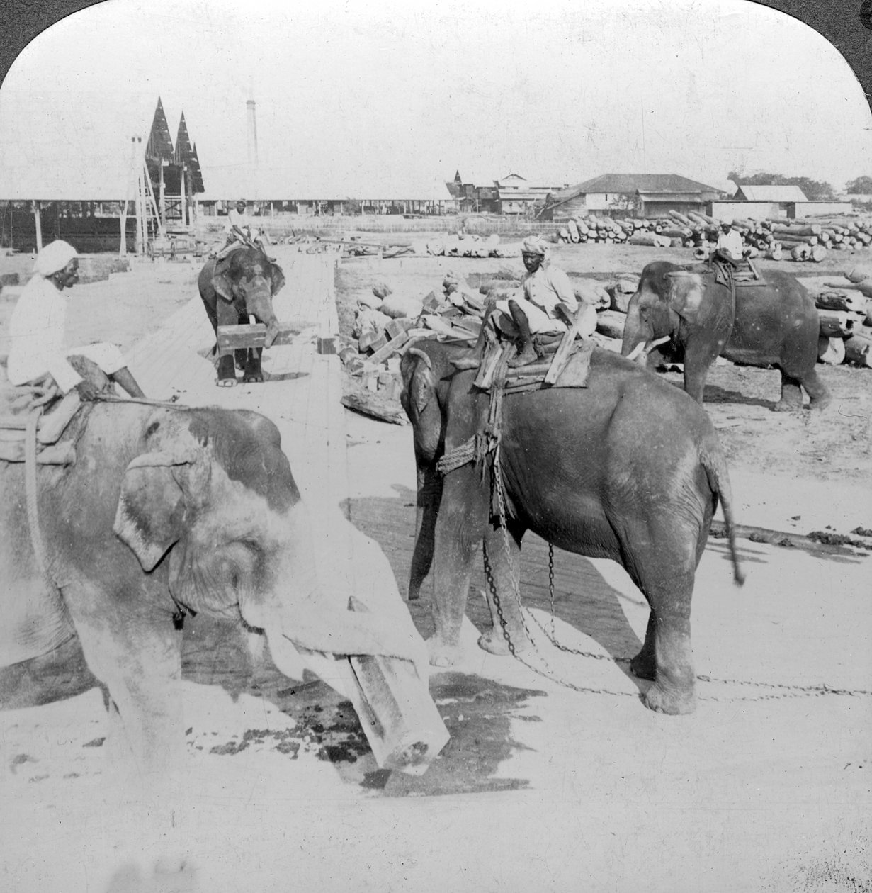 Elefanter, der arbejder i en tømmergård, Indien, omkring 1900-tallet. af Underwood and Underwood