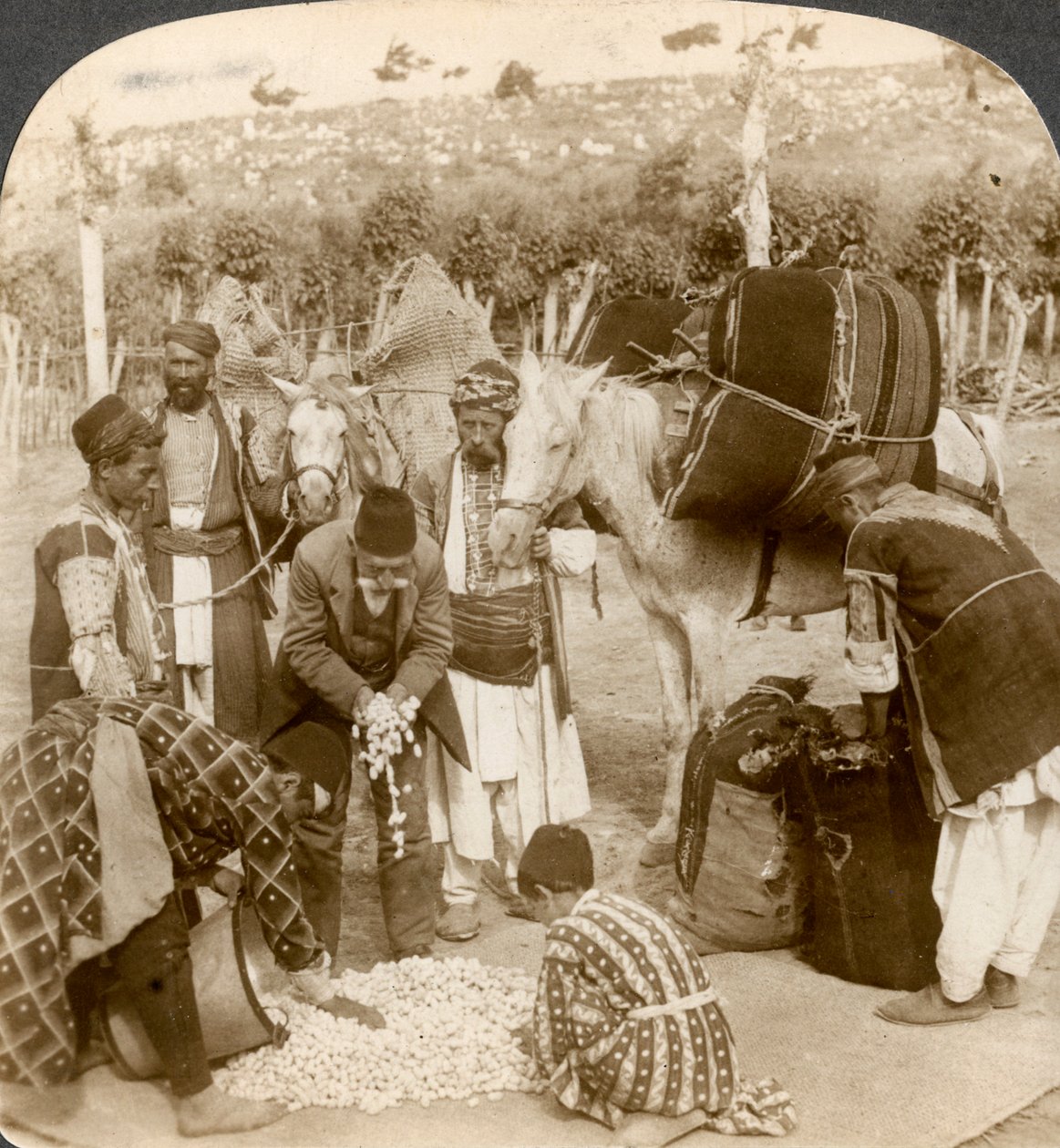 Eksperter køber silkekokoner til eksport til Frankrig, Antiochia, Syrien, 1900-tallet. af Underwood and Underwood