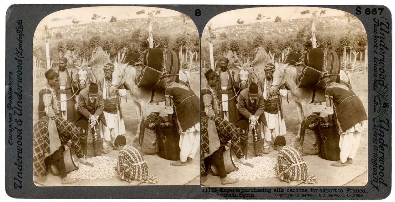 Eksperter køber silkekokoner til eksport til Frankrig, Antiochia, Syrien, 1900-tallet. af Underwood and Underwood