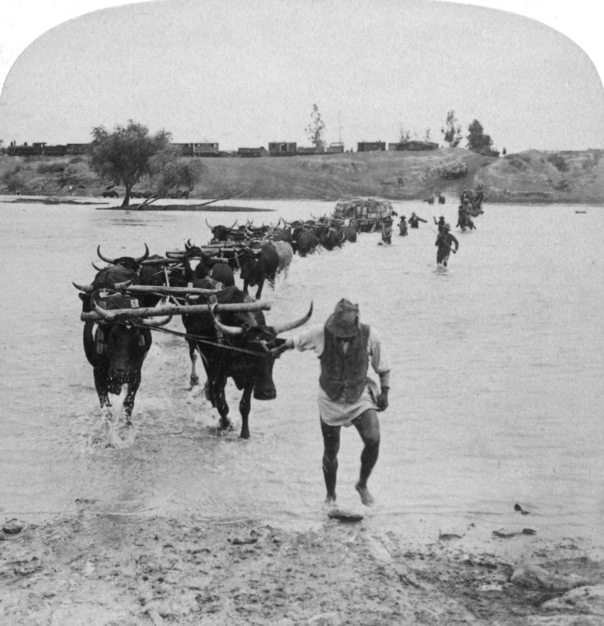 Fording the Modder River, Boer War, Sydafrika, 15. februar 1901. af Underwood and Underwood