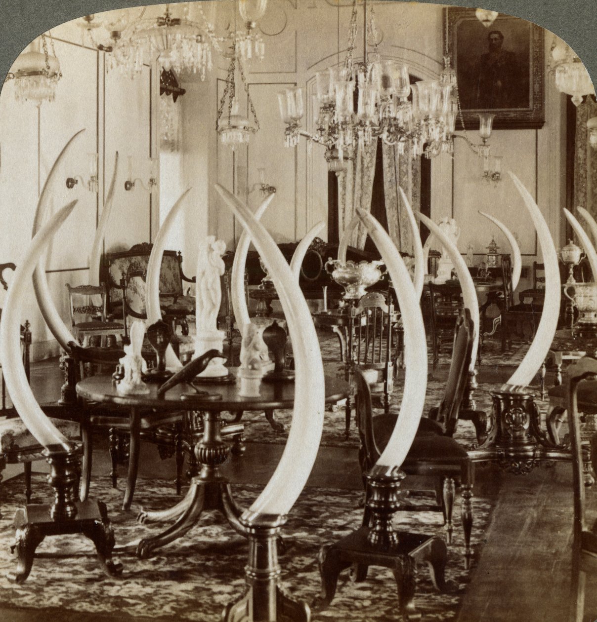 Hall of Tusks, i Lady de Soysas hjem, Bambalapitiya, Colombo, Ceylon, 1903 af Underwood and Underwood