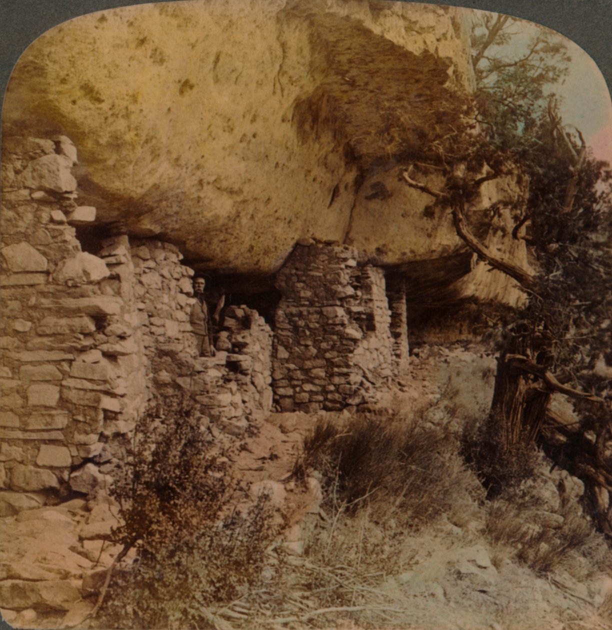 Homes of a Vanished Race - Cliff Dwellings i Walnut Canyon, Arizona, 1903. Kunstnere: Elmer Underwood, Bert Elias Underwood. af Underwood and Underwood