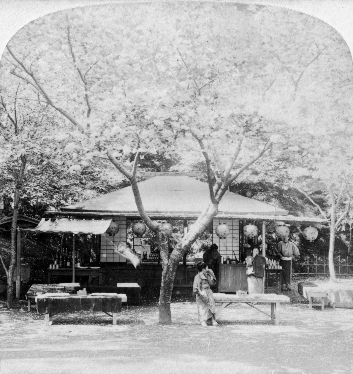 I hjertet af blomsterriget, Nara, Japan, 1896. af Underwood and Underwood