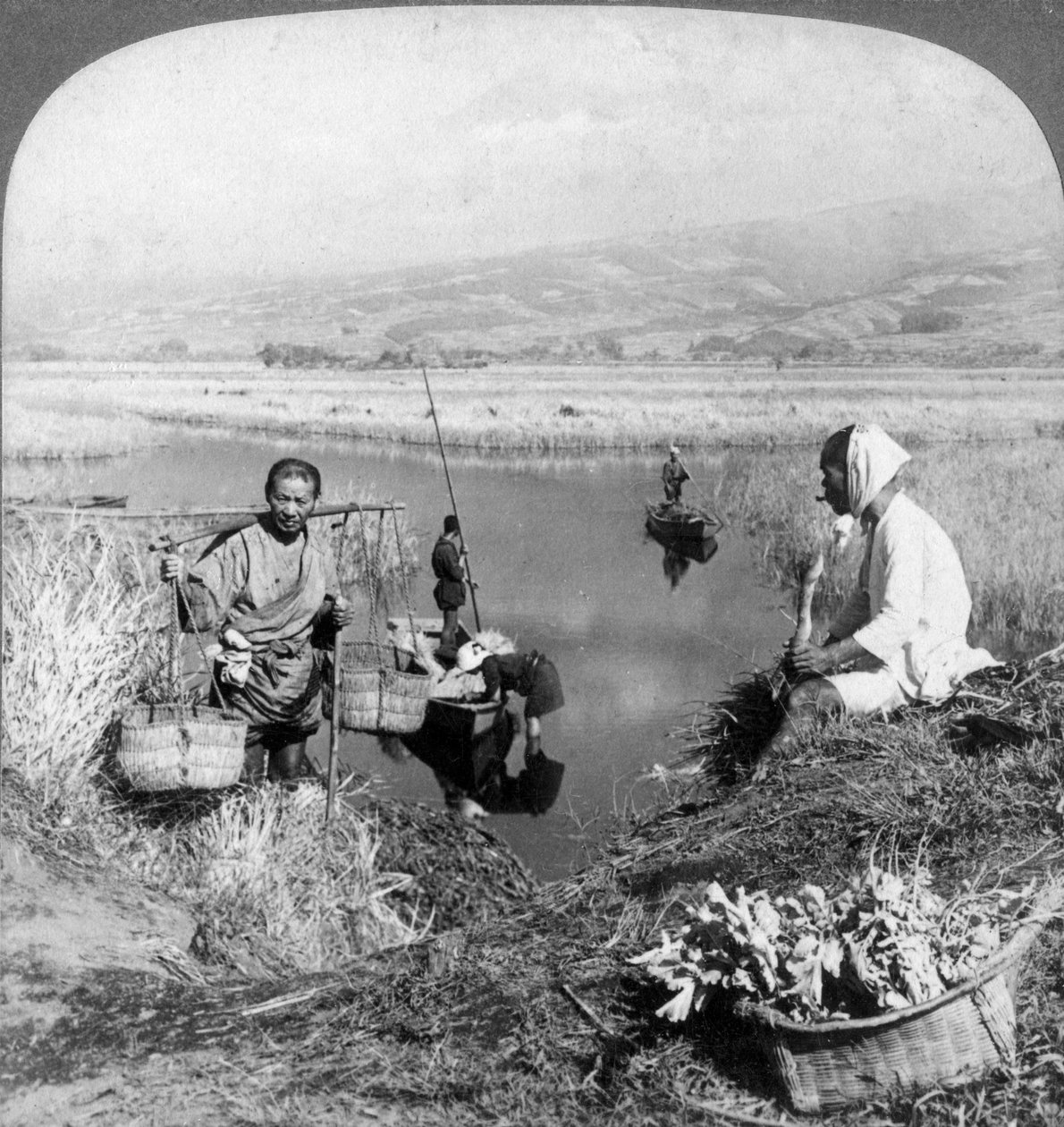 Men gathering rushes near Suzukawa, Fujiyama, Japan, 1904. af Underwood and Underwood