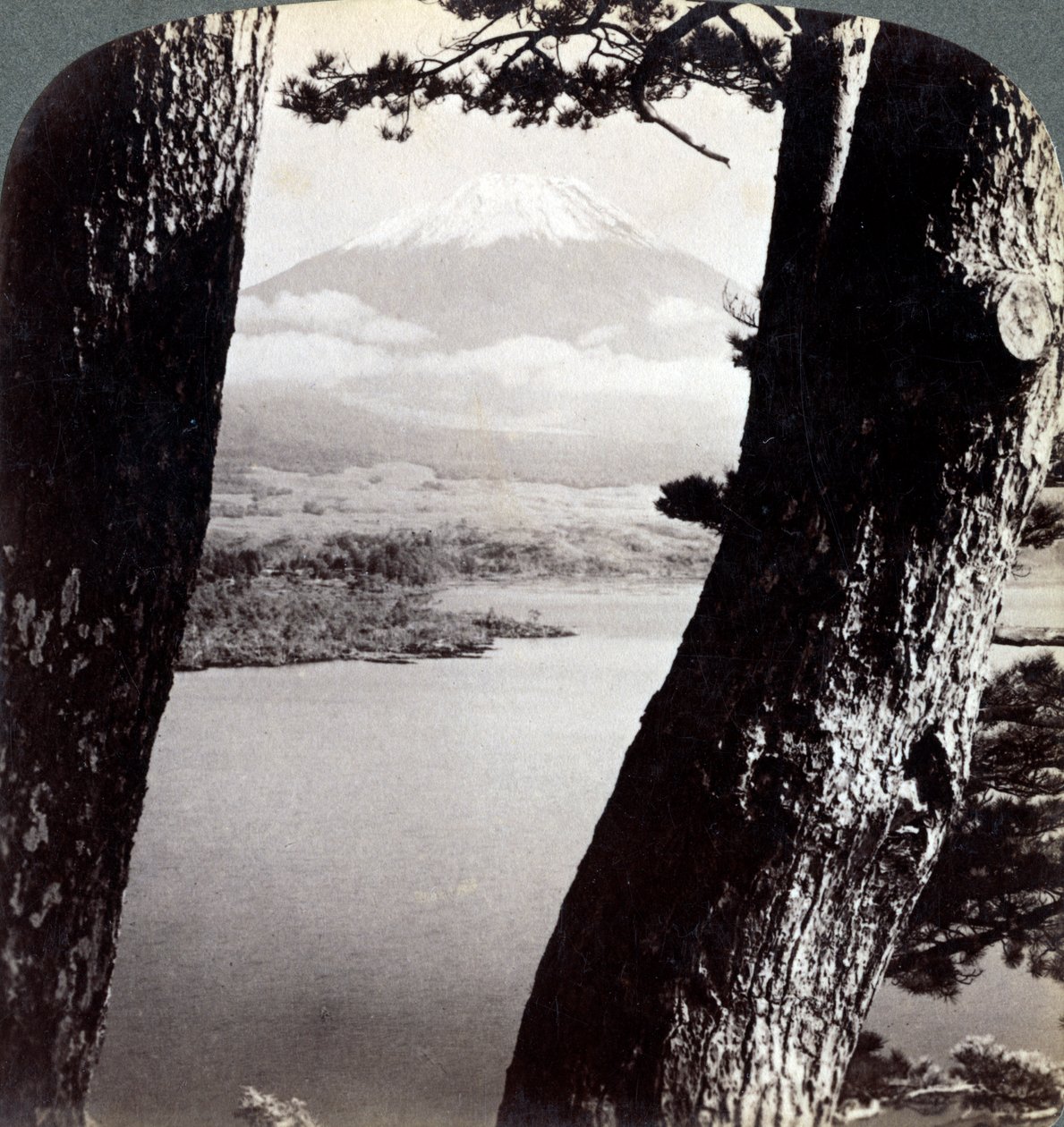 Mount Fuji, set fra nordvest, gennem fyrretræer ved Lake Motosu, Japan, 1904 af Underwood and Underwood
