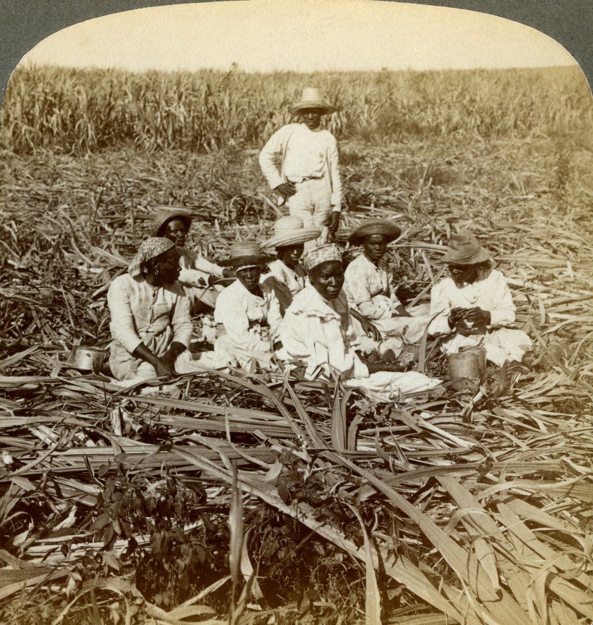 På La Union sukkerplantage, San Luis, Santiago-provinsen, Cuba, 1899. af Underwood and Underwood