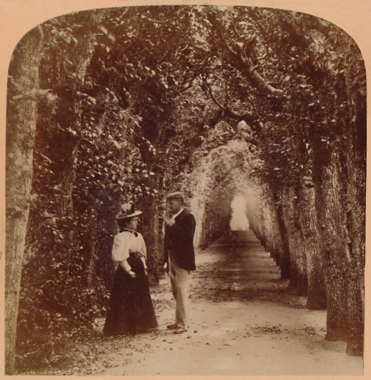 Queen Marys Bower, Hampton Court, London, England, 1896. af Underwood and Underwood