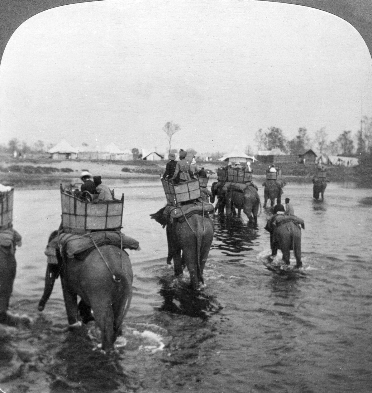 Vender tilbage til lejren efter et dages optagelser i Behar-junglen, Indien, 1909. af Underwood and Underwood