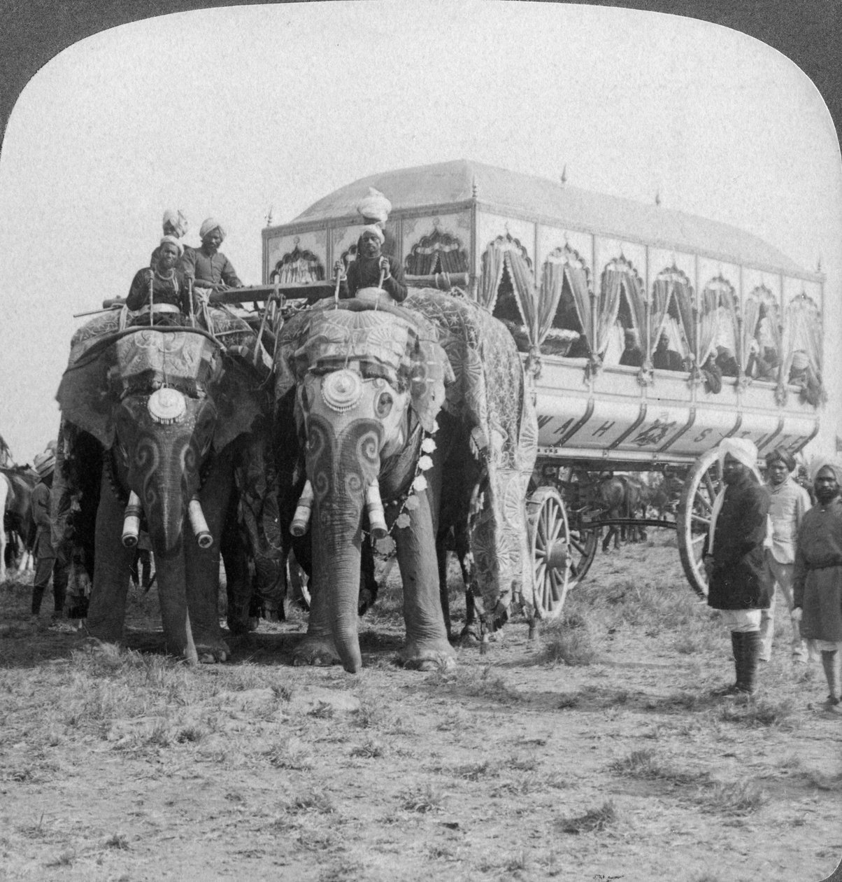 Rigt udsmykkede elefanter og vogn af Maharajaen af Rewa ved Delhi Durbar, Indien, 1903 af Underwood and Underwood
