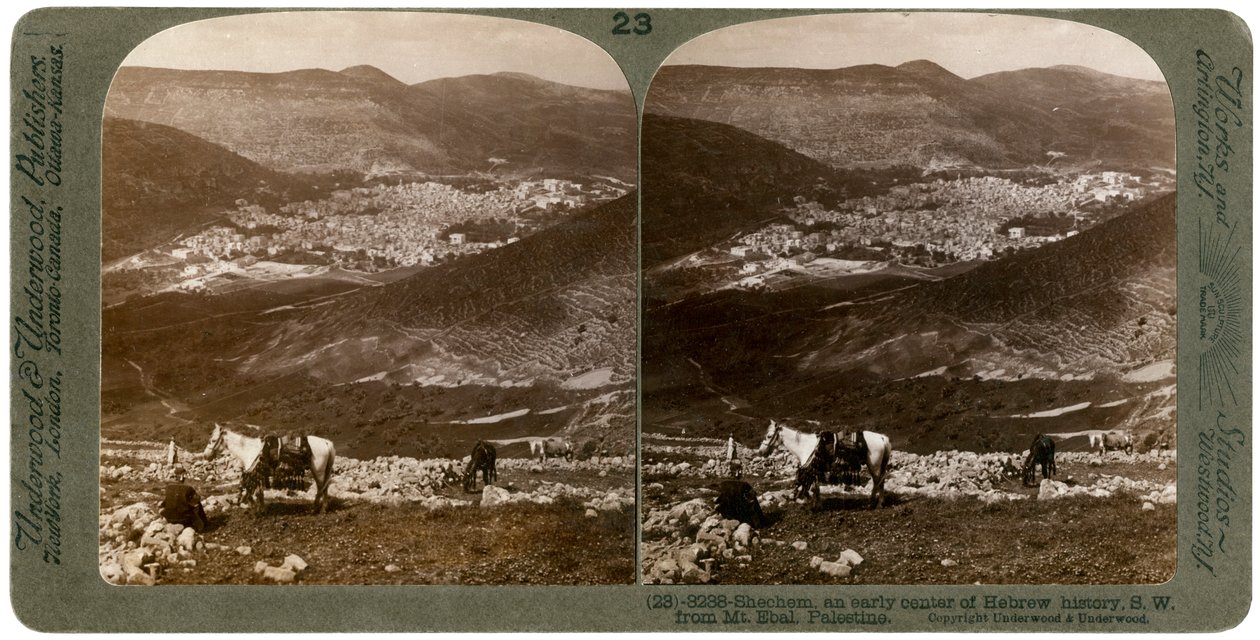 Sikem, sydvest for Mount Ebal, Palæstina, 1900-tallet. af Underwood and Underwood