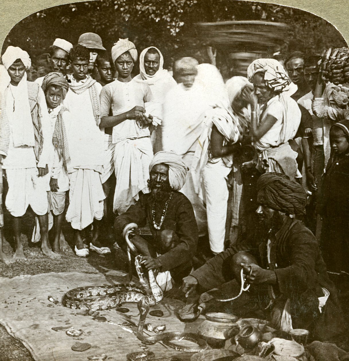 Slangetæmmer, Calcutta, Indien, omkring 1900-tallet. af Underwood and Underwood