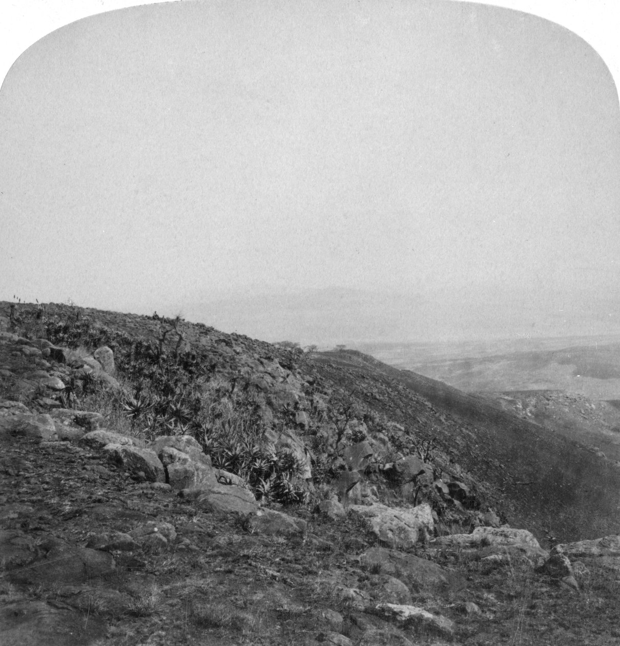 Sydskråningen af Spion Kop, Sydafrika, Boer War, 1901. af Underwood and Underwood