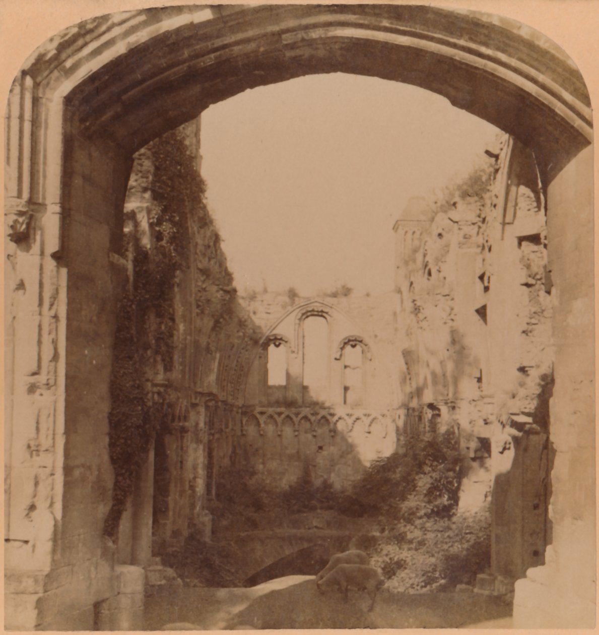 St. Josephs Chapel, Glastonbury Abbey 6. århundrede, 1900. af Underwood and Underwood