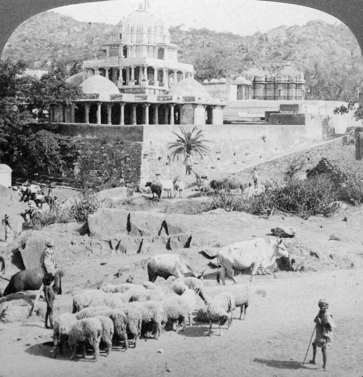 Jainernes templer, Abu-bjerget, Indien, 1902. af Underwood and Underwood