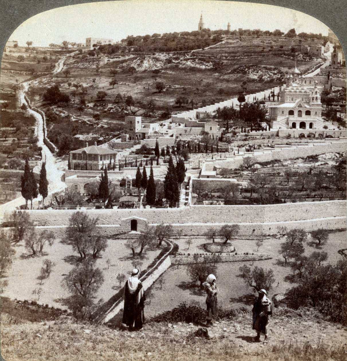 Getsemane Have og Oliebjerget, Palæstina, 1908. af Underwood and Underwood