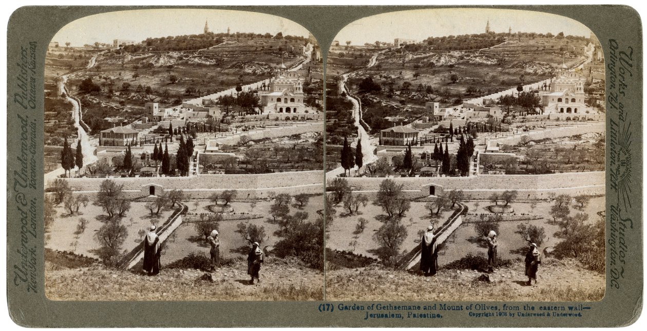 Getsemane Have og Oliebjerget, Palæstina, 1908. af Underwood and Underwood