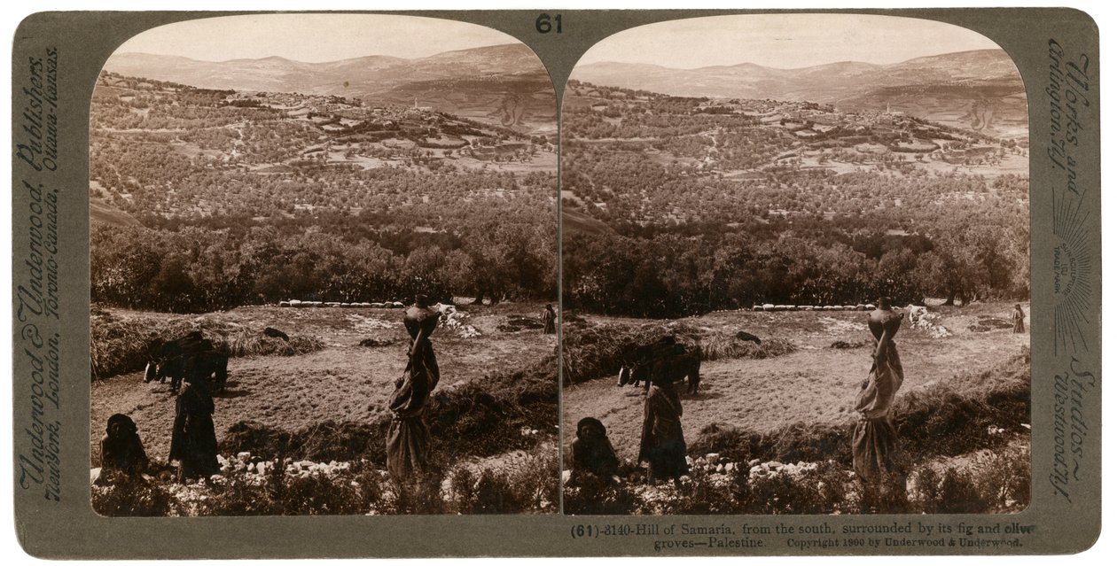 Samariahøjen, fra syd, omgivet af sine figen- og olivenlunde, Palæstina, 1900. af Underwood and Underwood