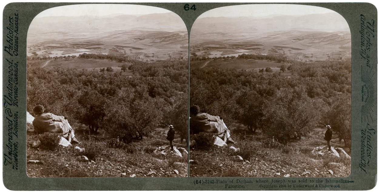 Dothan-sletten, Palæstina, 1900. af Underwood and Underwood