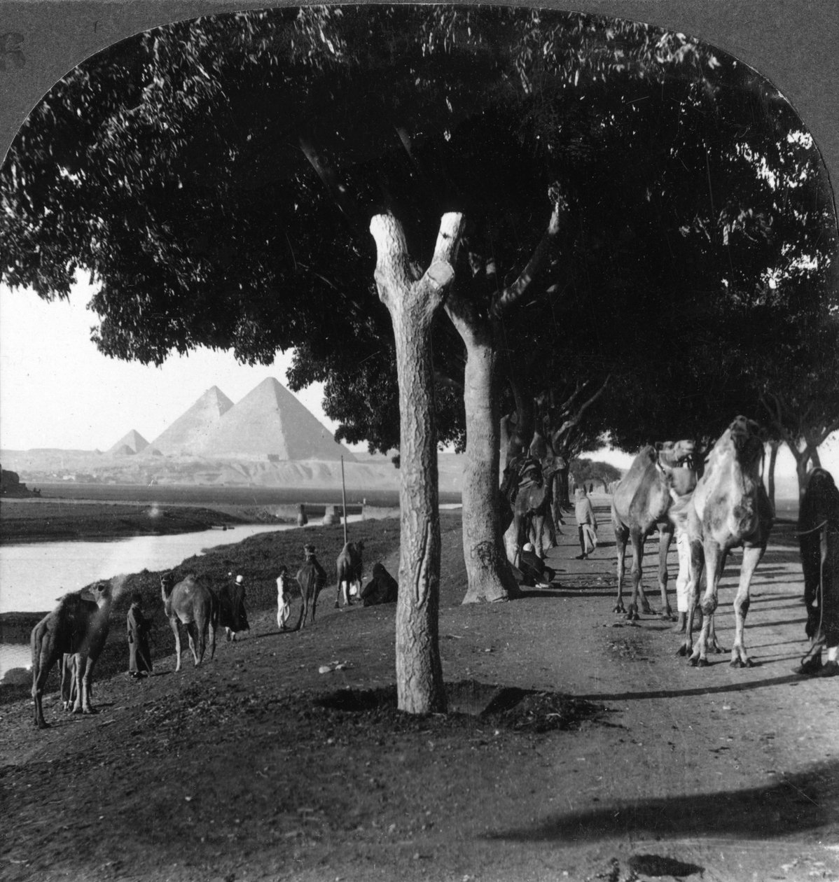 Vejen til pyramiderne, Giza, Egypten, 1905. af Underwood and Underwood