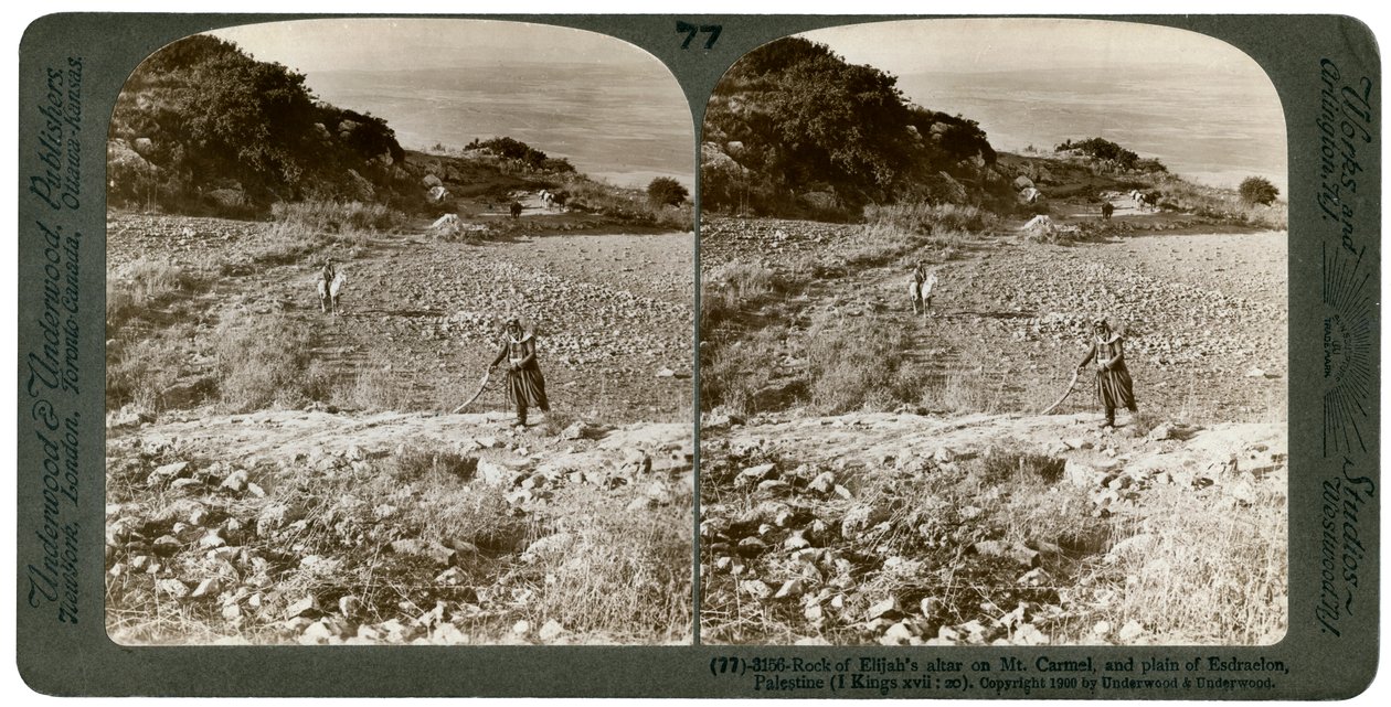 Elias-alterets klippe på Karmelbjerget og Esdraelon-sletten, Palæstina, 1900. af Underwood and Underwood