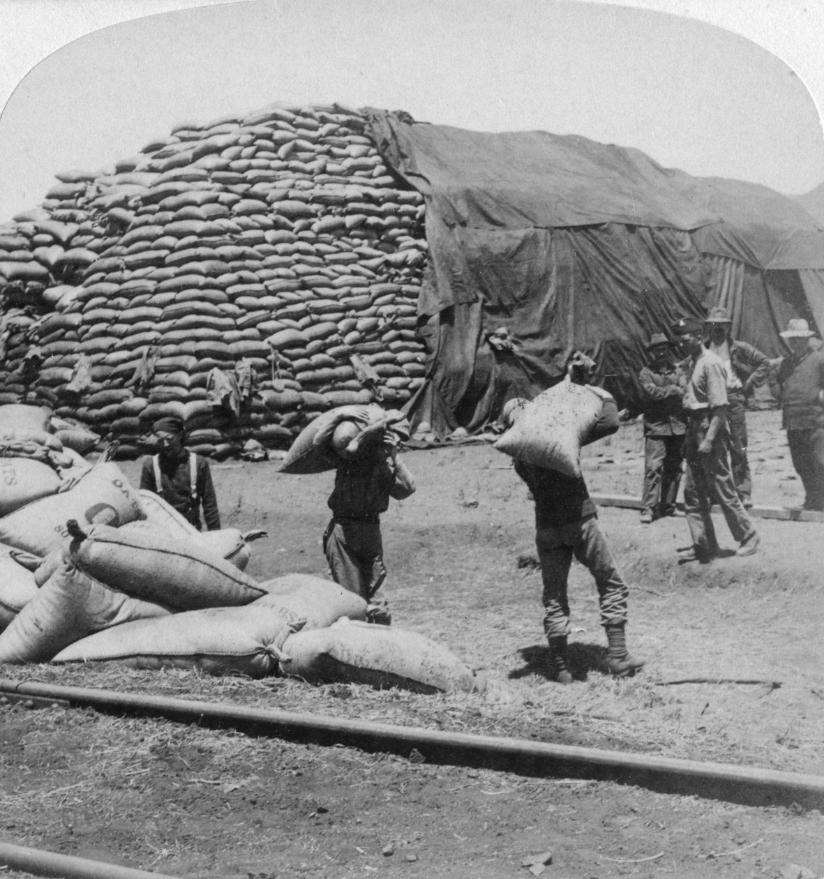 Tons på tons af havre til Tommys trofaste ven, De Aar, Sydafrika, Boer War, 1900. af Underwood and Underwood