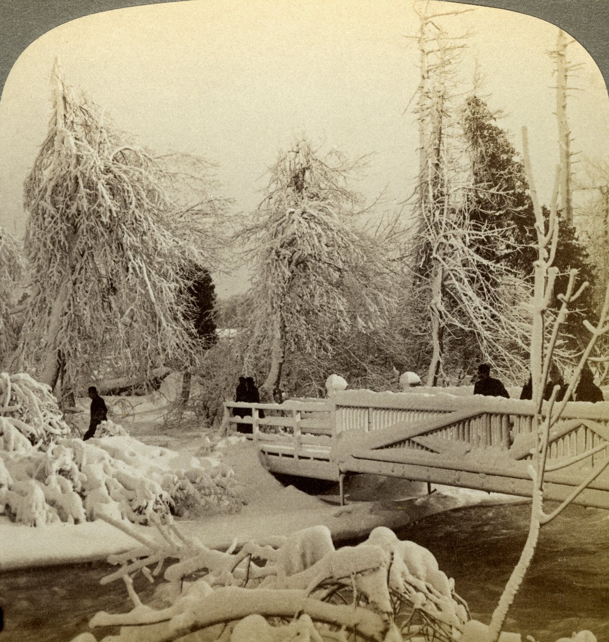 Vinterscene, Luna Island, Niagara Falls, New York, USA. af Underwood and Underwood