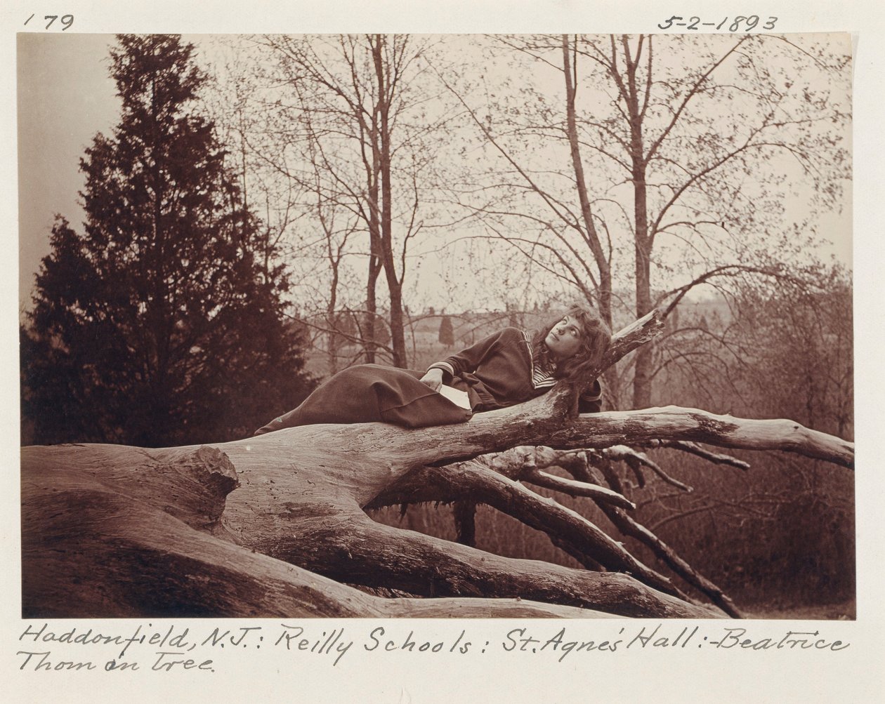 [Beatrice Thom på træ, Haddonfield, New Jersey]. af Unidentified