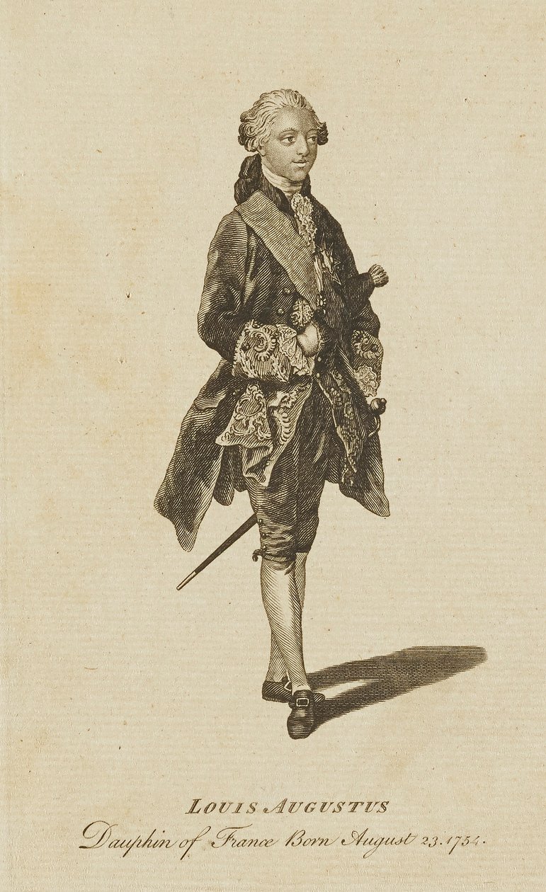 Louis Augustus, Dauphin de France af Unidentified