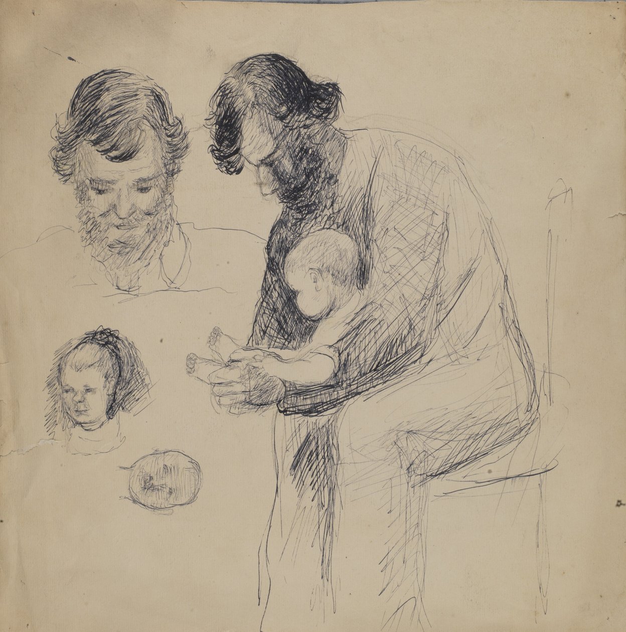Studier af mennesket, barnet og spædbarnet af Unidentified