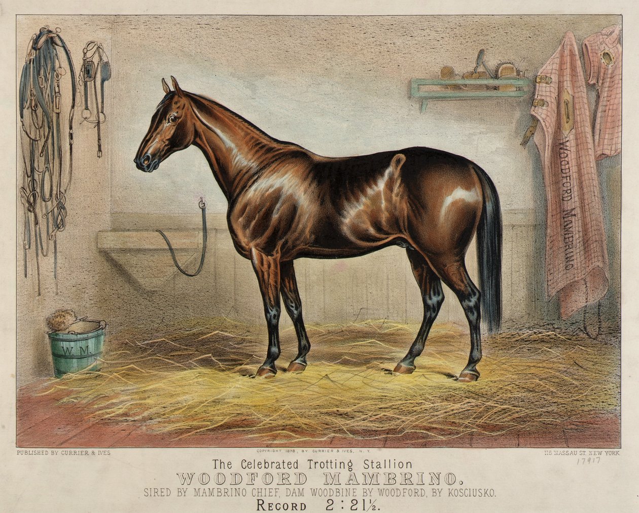 Den berømte travhingst Woodford Mambrino af Unidentified