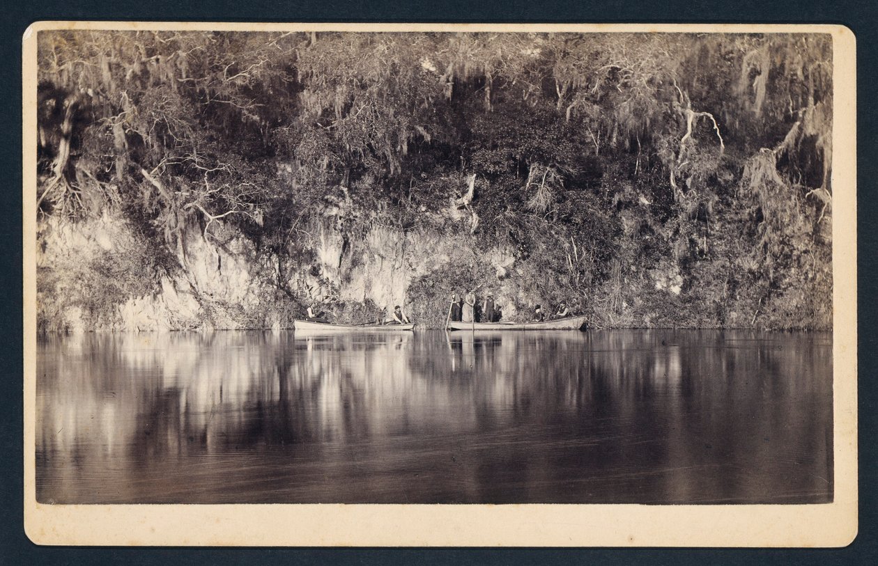 [Under klipperne ved Withlacoochee-floden, Florida] af Unidentified