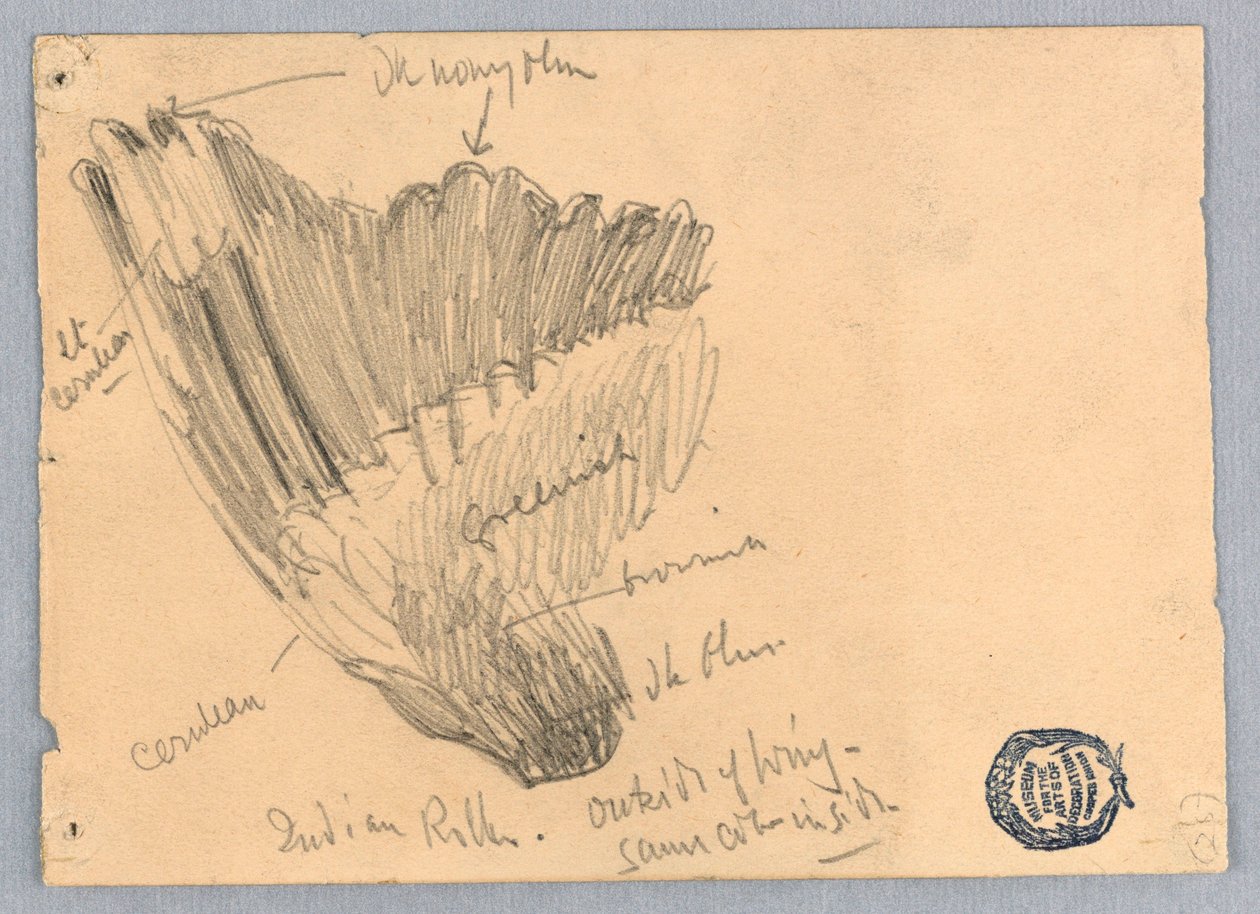 Tegning af Unknown