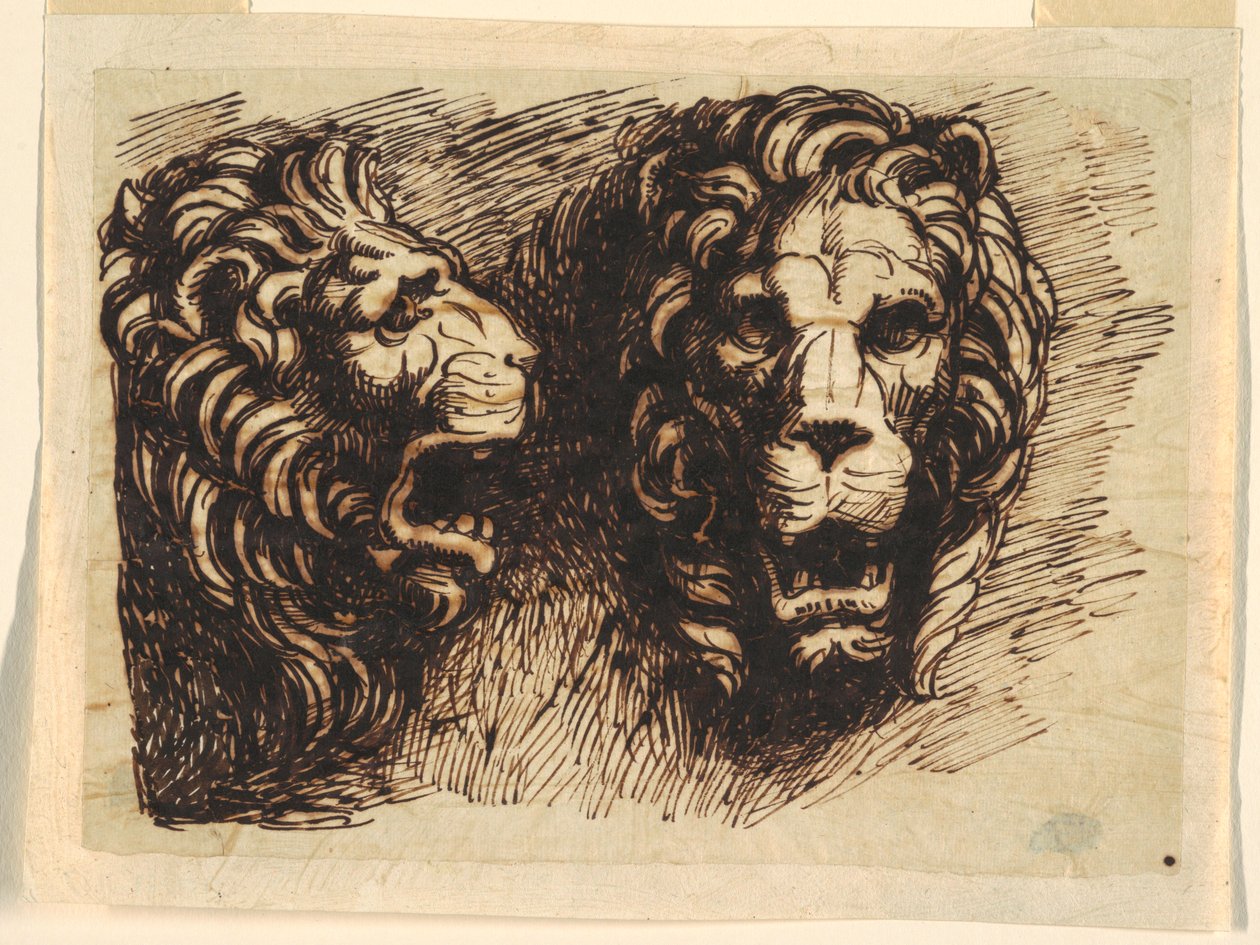 Tegning af Unknown