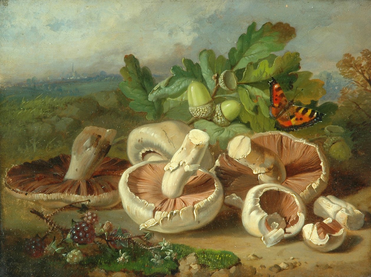Stilleben med svampe osv., 1859 af Unknown