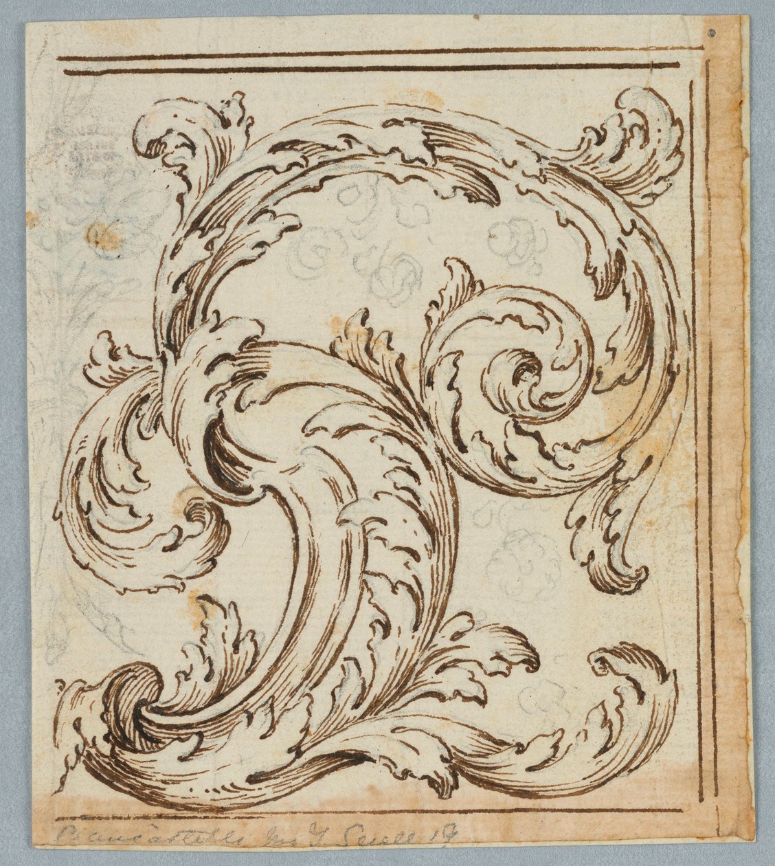 Tegning, Rinceau Design, 1725–1750 af Unknown