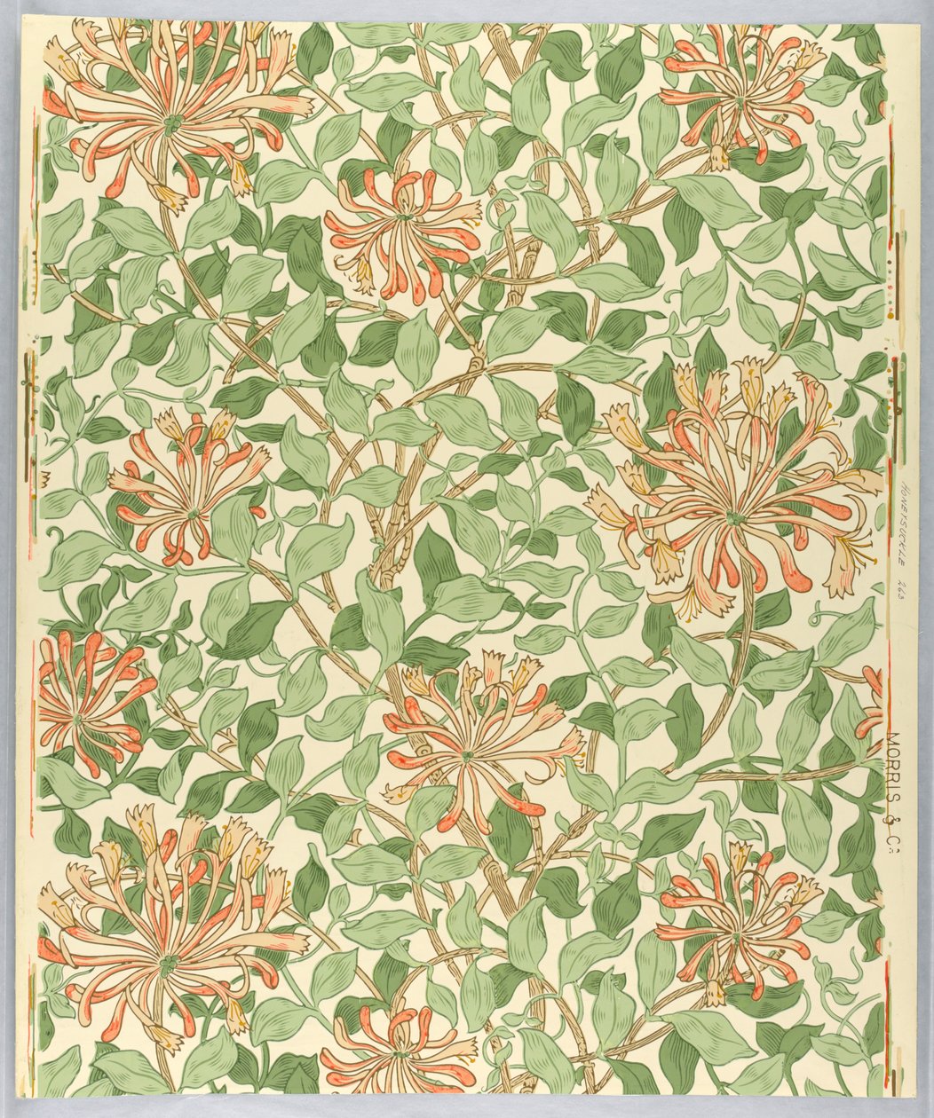 Sidevæg, Honeysuckle, 1883 af Unknown