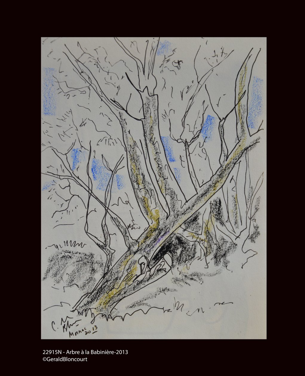 22915N - Tree a Babiniere-2013 af Unknown