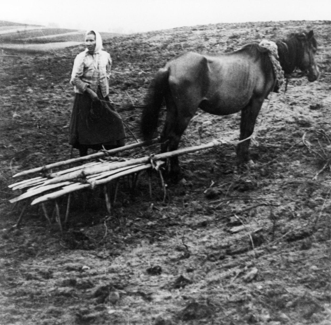 En bondekvinde med hest, der dyrker jorden på en gård i landsbyen Voronovo ved Volga i det førrevolutionære Rusland, 1900. af Unknown