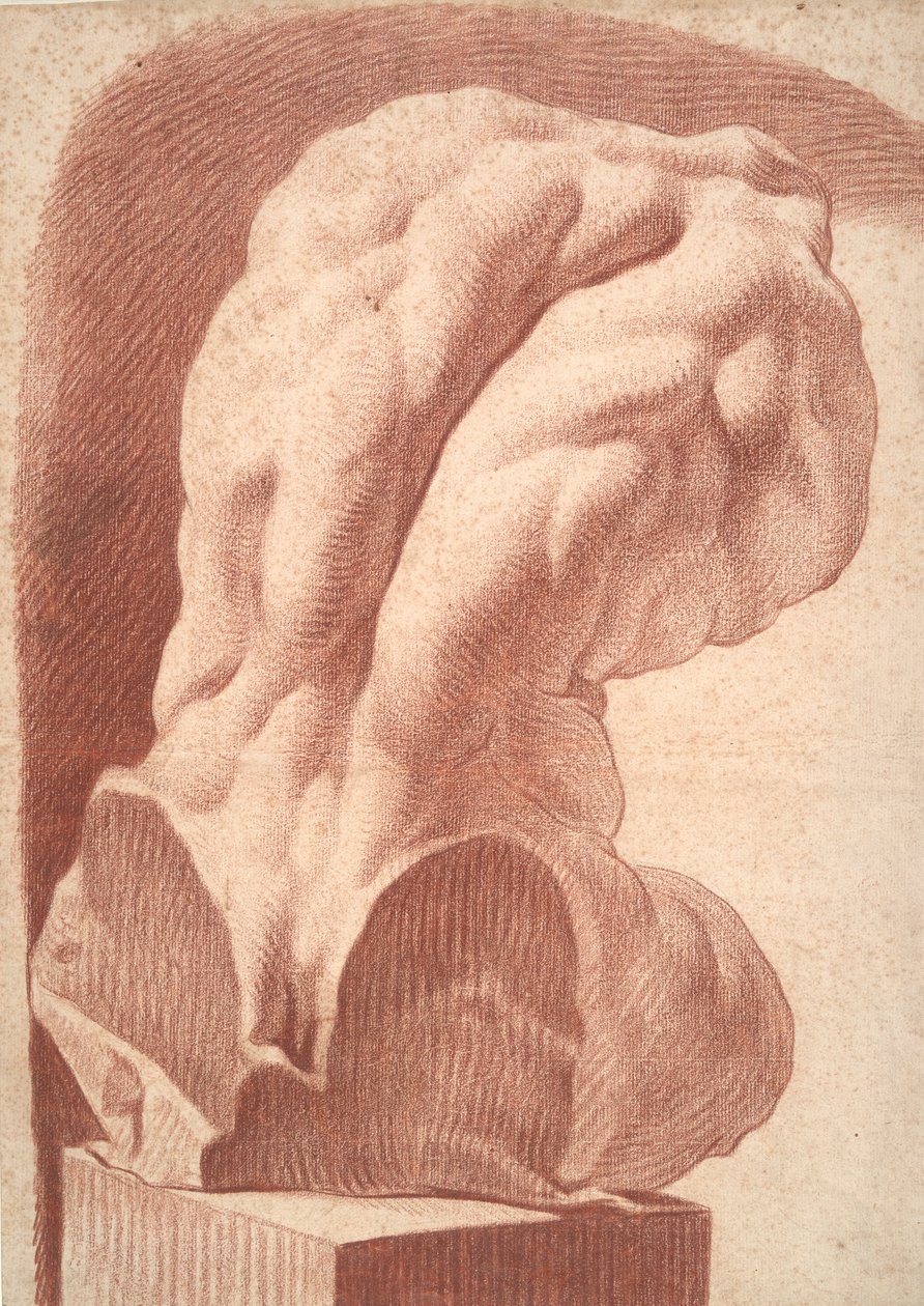 Akademisk undersøgelse af en torso af Unknown