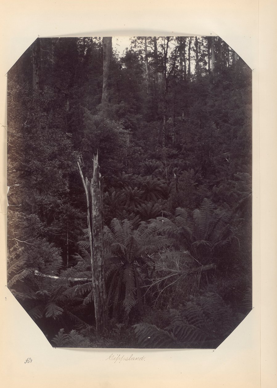 Australien - (Victoria og S. Australien) af Unknown