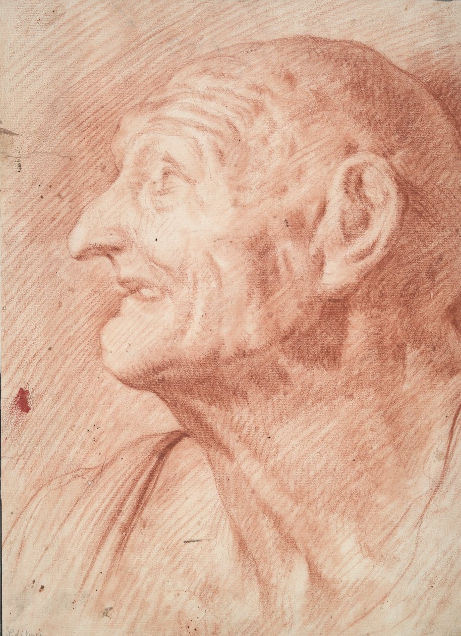 Buste af Seneca af Unknown