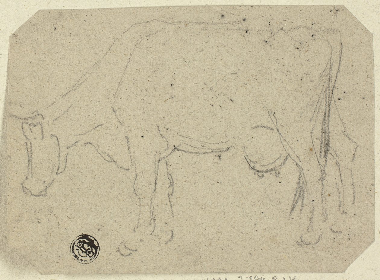 Kogræsning (recto); Hoved af et dyr (verso) af Unknown